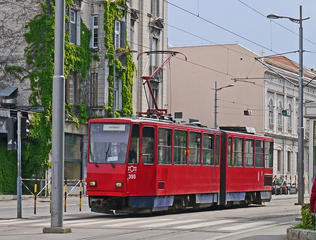 Vojvode Stepe, Voždovac
