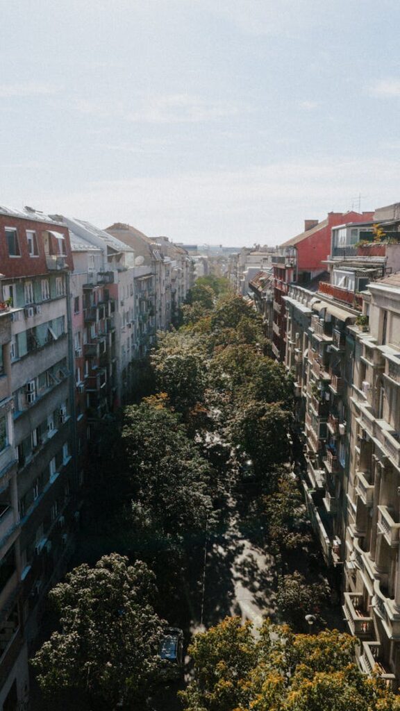 zvezdara